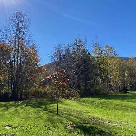 Hunter Mountain Sanctuary Villa Exterior foto